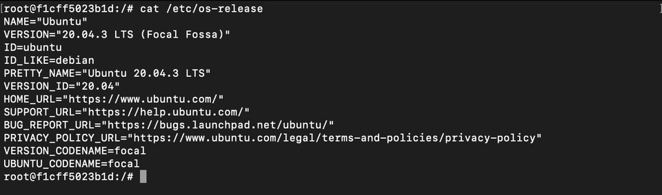 Docker Ubuntu version information returned by cat /etc/os-release