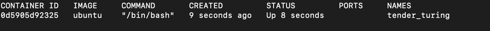 Docker docker ps -a command output
